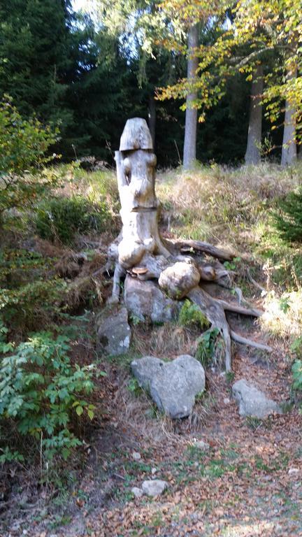 Apartamento Harz-Zauber Braunlage Exterior foto